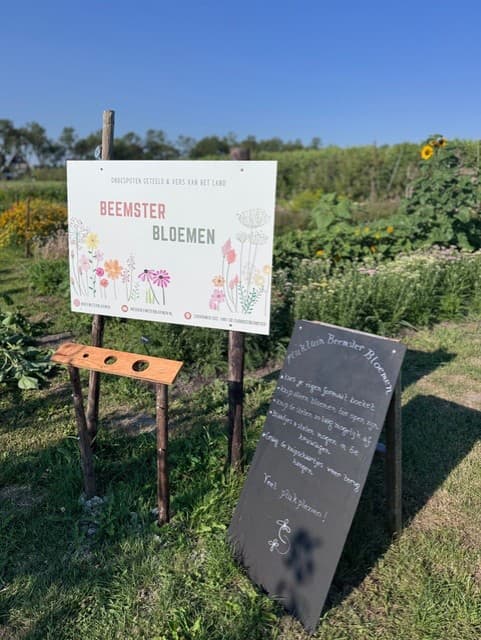 Informatiebord van Beemster Bloemen tussen de bloemen op het veld