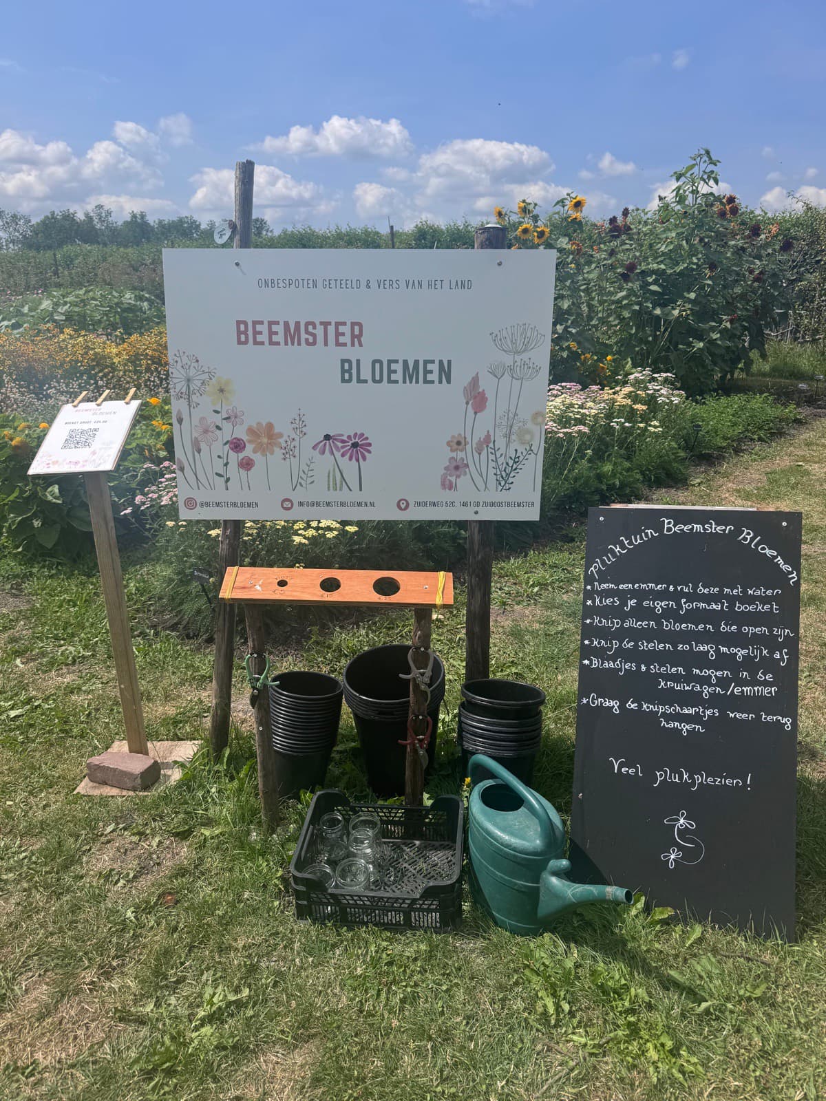 Kraam van Beemster Bloemen in de pluktuin
